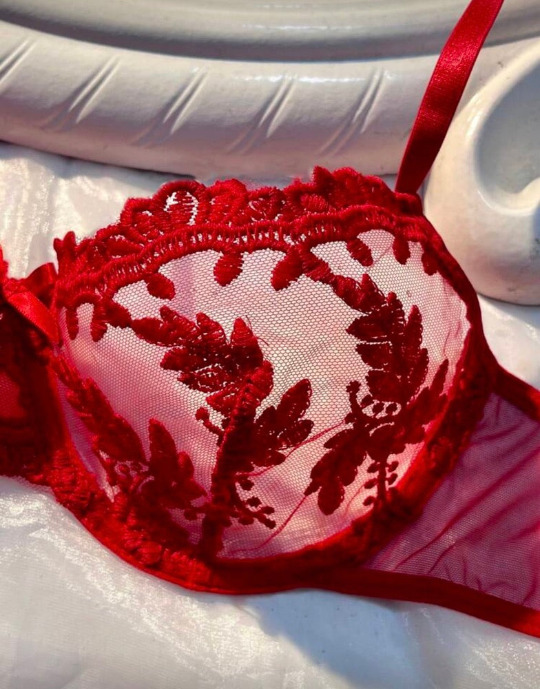Crimson Desire 3-Piece Garter & Bra Set